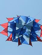 46- Girasole - Joel Goupil w